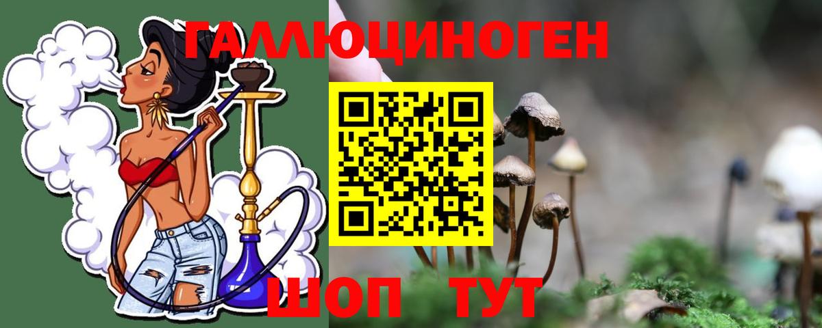 Псилоцибиновые грибы мухоморы Архангельск